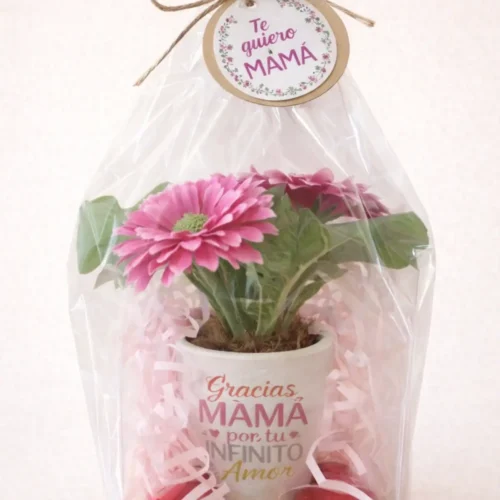Plantita artificial regalo para mamá modelo Mamá amorosa con flor fucsia